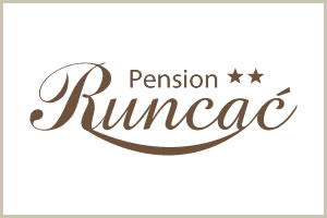 Pension Runcac